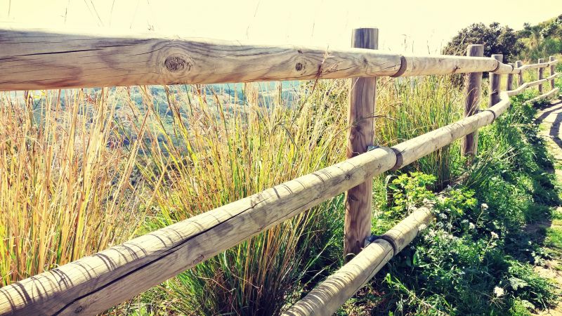 Rustic Farm Fence
