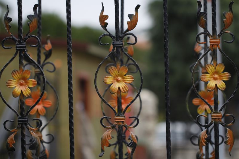Ornamental Iron Fence Service detail